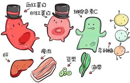 宅男视频APP网站廠家分析元素之間的協同作用