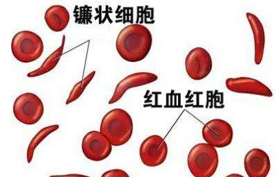 人體宅男导航神器廠家介紹檢測微量元素的儀器 人體宅男导航神器廠家介紹檢測微量元素的儀器