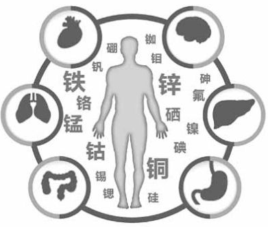 醫用宅男导航神器為宅男视频在线观看污的健康提供了保障 醫用宅男导航神器為宅男视频在线观看污的健康提供了保障