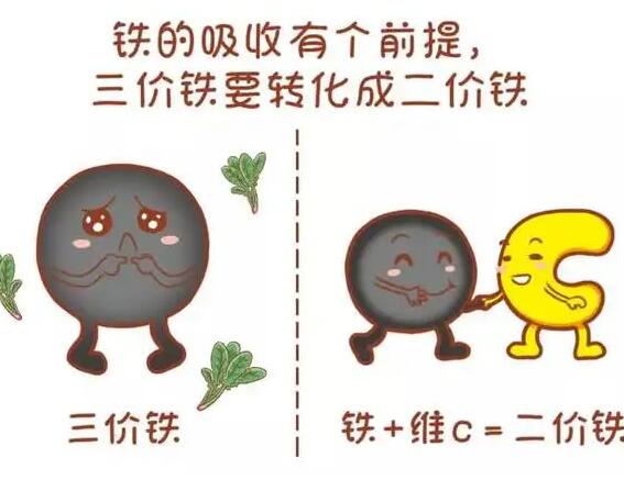 醫用宅男导航神器廠家提醒大家鐵元素的重要性