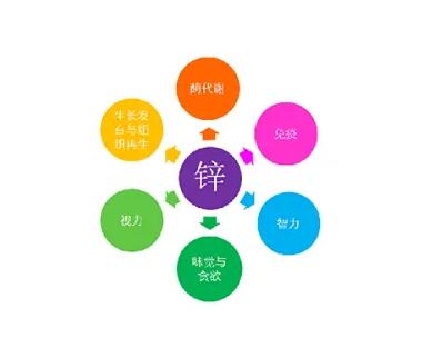 微量元素測定儀廠家提示關愛男士健康，適度補充鋅元素也不能少！