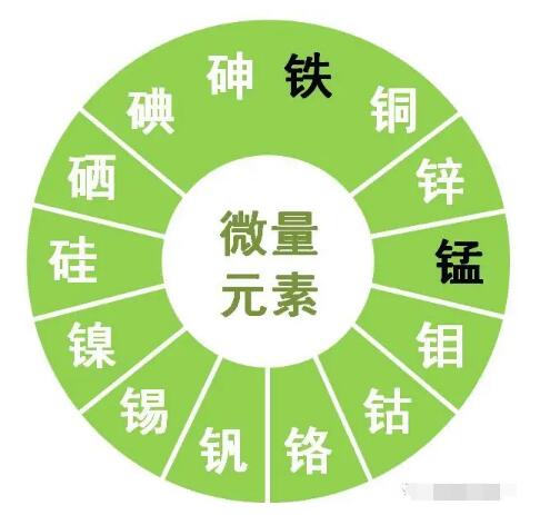 宅男导航神器提示鋅、硒、錳、釩等微量元素對男性生育有哪些作用？